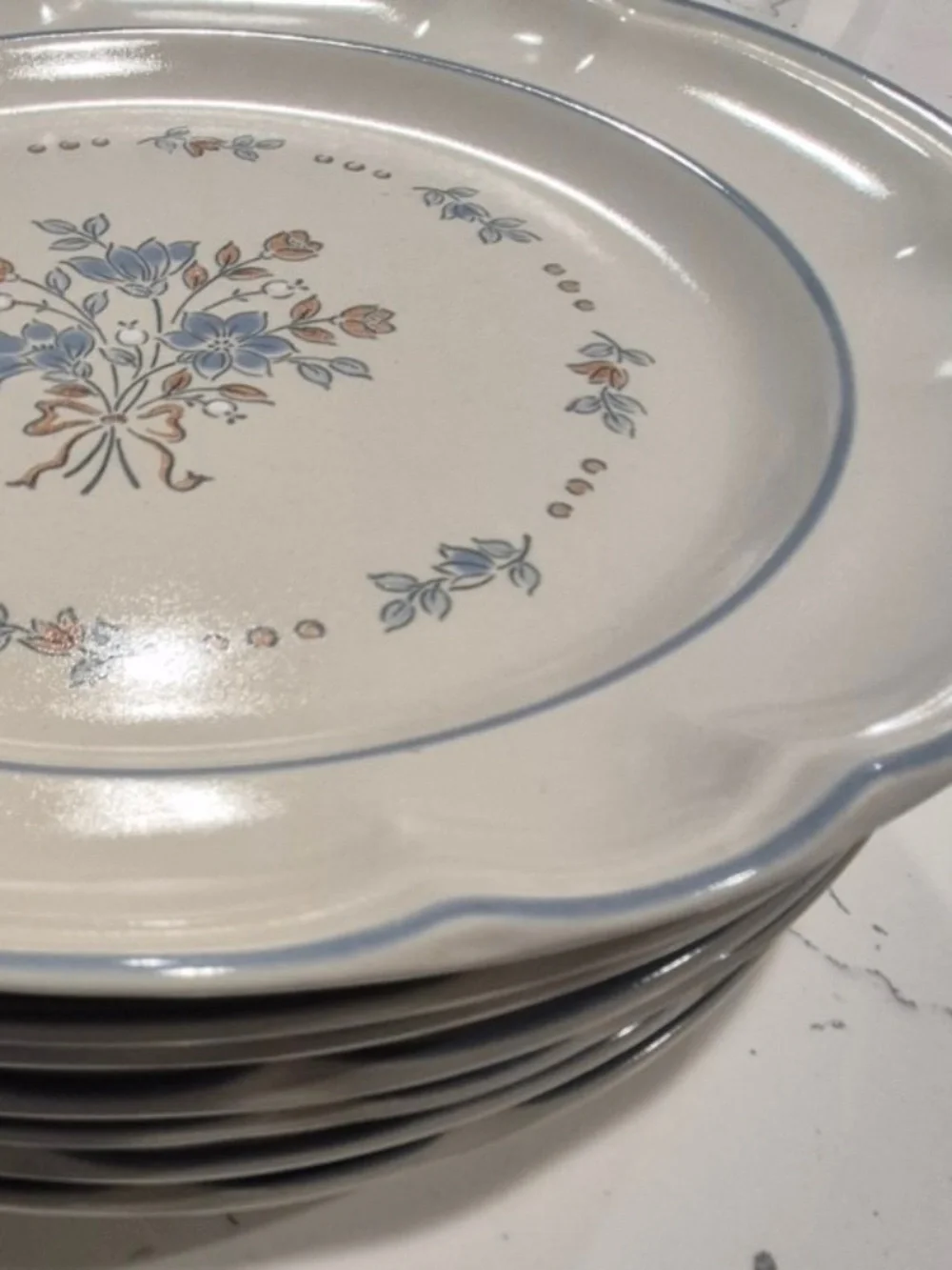 Cottage Core Cordella Bluet Dinner Plates